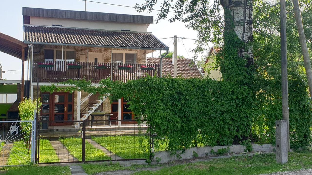 Villa Sarga311 Ueduelohaz Szeged Extérieur photo